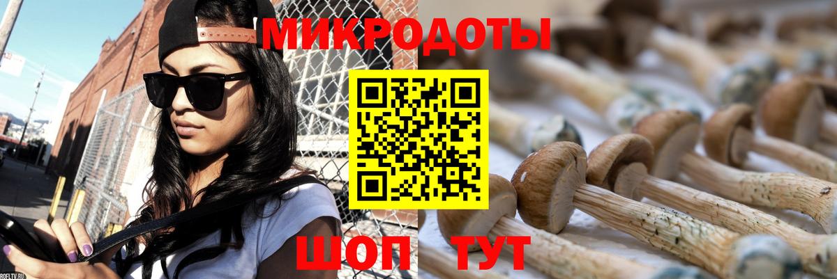 Зеленодольск  Галлюциногенные грибы мицелий  Вход с VPN 